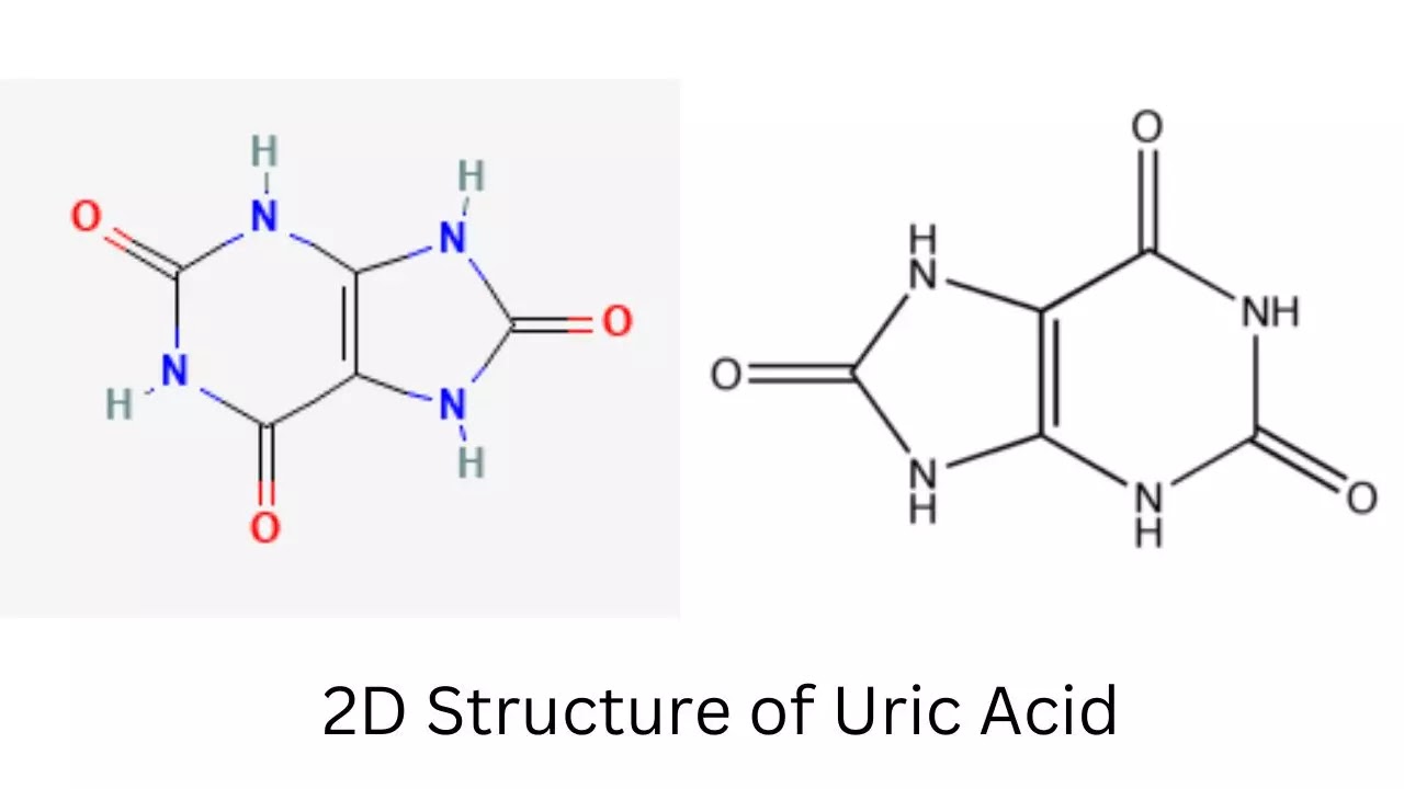 2d structure of uric acid