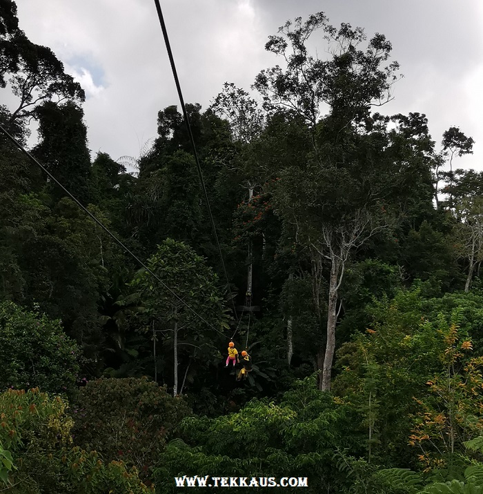 The Habitat Zipline Honeymoon Zip Teaser