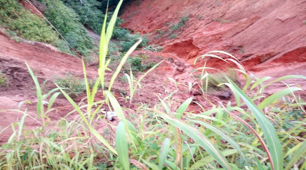 image: Anianta Landslide natural disaster