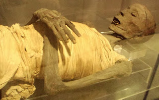 A Mummy in The Egyptian Museum