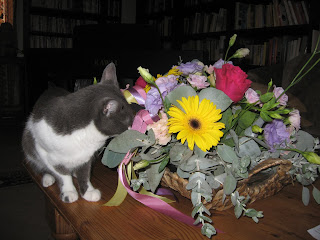 cat eating bouquet
