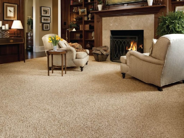 best carpet cleaners