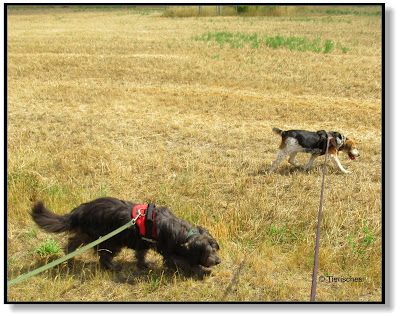 Emma und Lotte