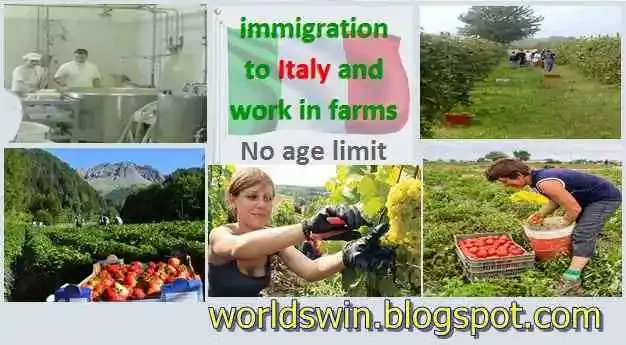 Work On Farms In Italy
