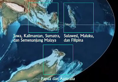 Pengaruh Kondisi Geologi Indonesia Terhadap Sebaran Flora dan Fauna