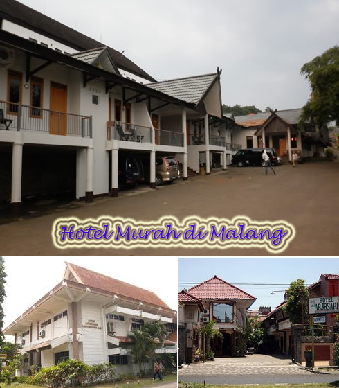  Daftar  Hotel  Murah di  Malang  2022