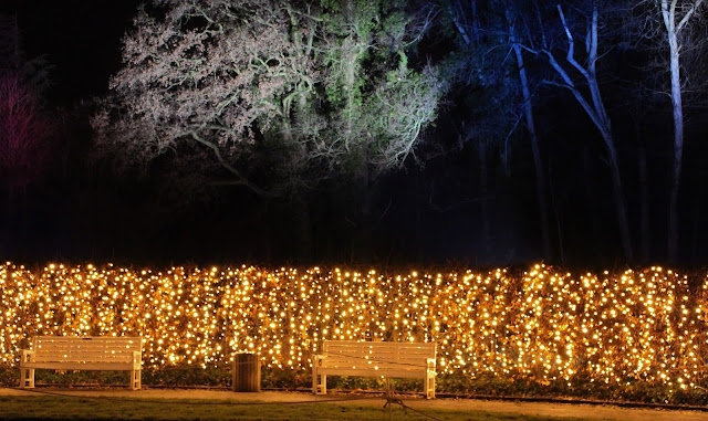 Wie war es im Christmas Garden Berlin