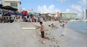 . playas continuara. Aqui algunas fotos de la famosa playa fotogenica, . (cancun playa km )