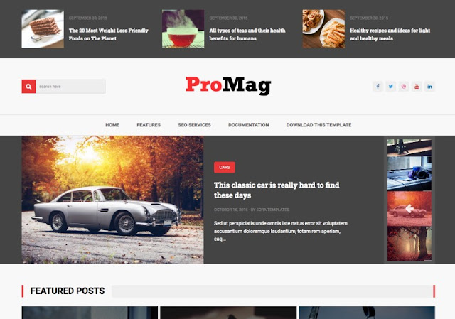 ProMag Blogger Template