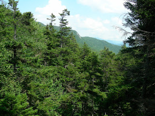 a view of the White Mountains, from Lost River gorge