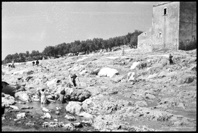 lavanderas-lago-di-varano