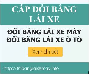 Cap-doi-bang-lai-xe-a1-2