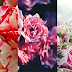 Wallpapers Flowers for iPhone p15