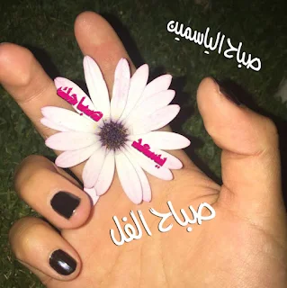 صور مكتوب عليها صباح الفل