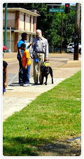 Person on a sidewalk with a gide dog