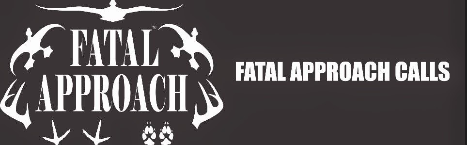 http://fatalapproach.com/