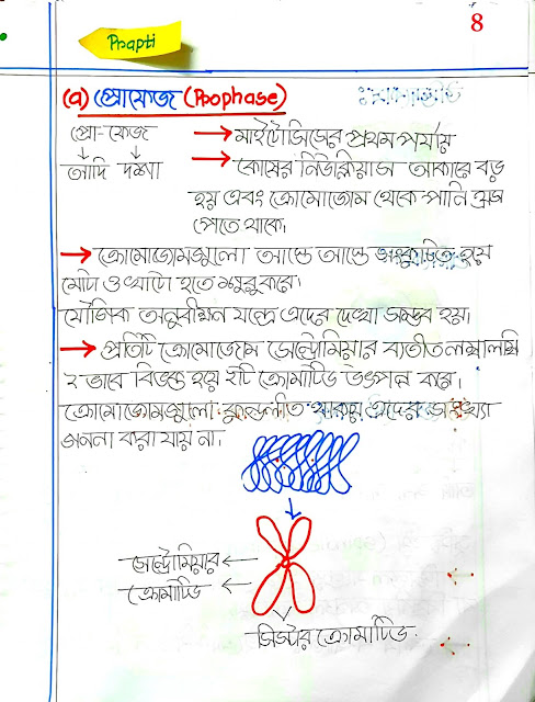 SSC Biology Chapter 3 Hand Note