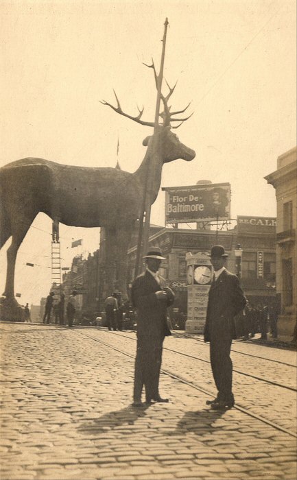 Deer Crossing