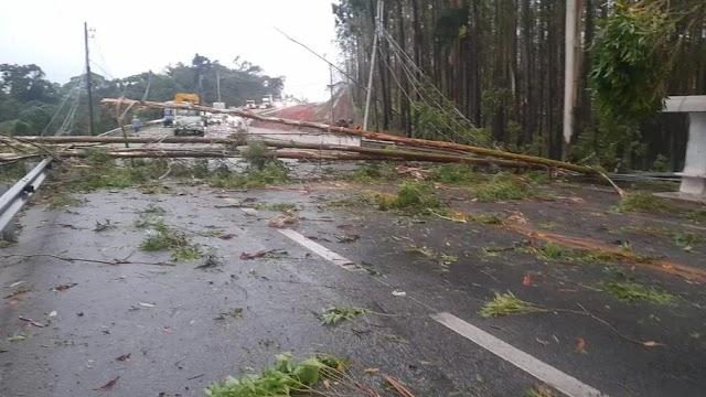 Tempestade mata duas pessoas em SP e deixa Congonhas sem luz