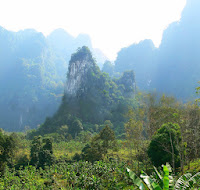 Surat Than at Khao Sok