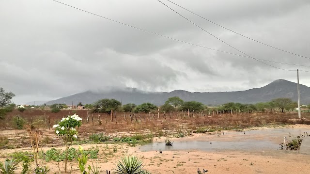 ZONA RURAL DE BOM CONSELHO TEM MAIS DE 40 MM DE CHUVA DURANTE O SÁBADO