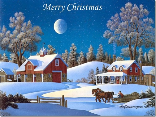 paisajes navidad (21)