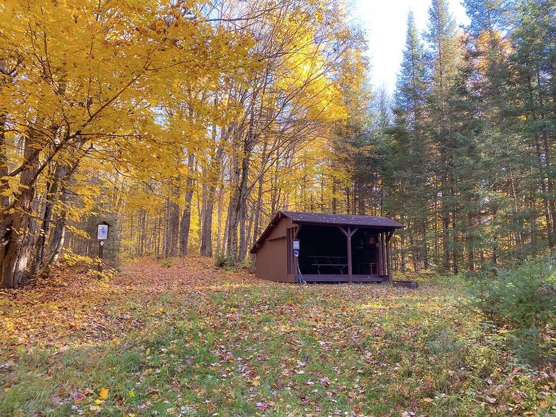 Woodshed looking structure