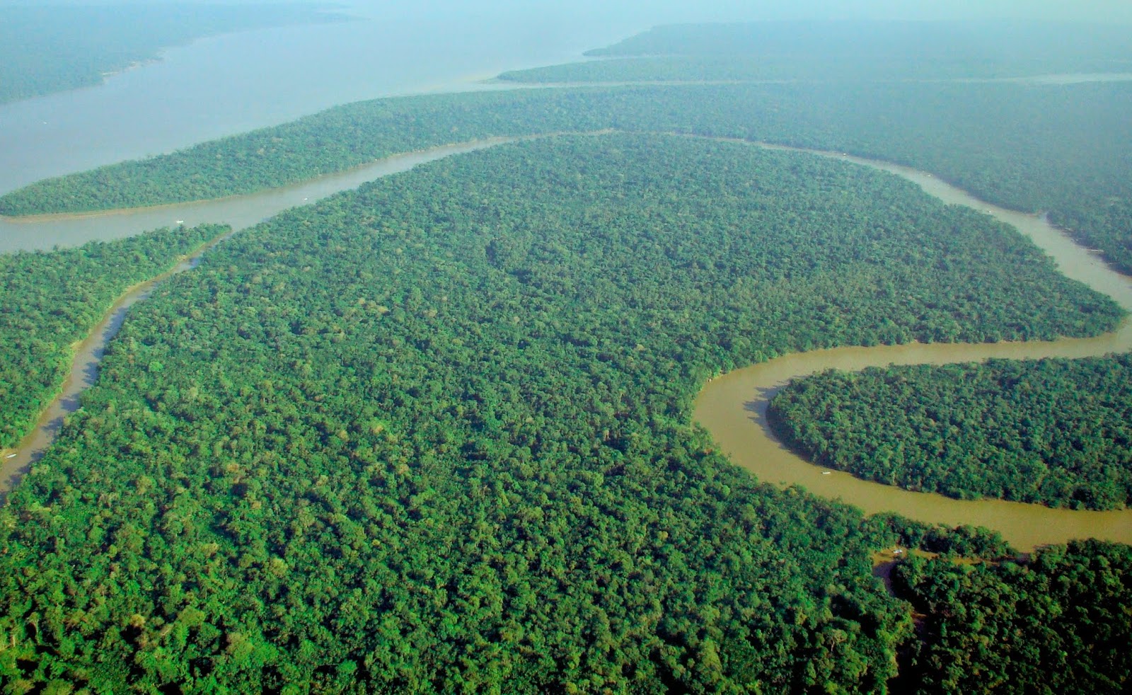 the Amazon, though not the one we're talking about in the article