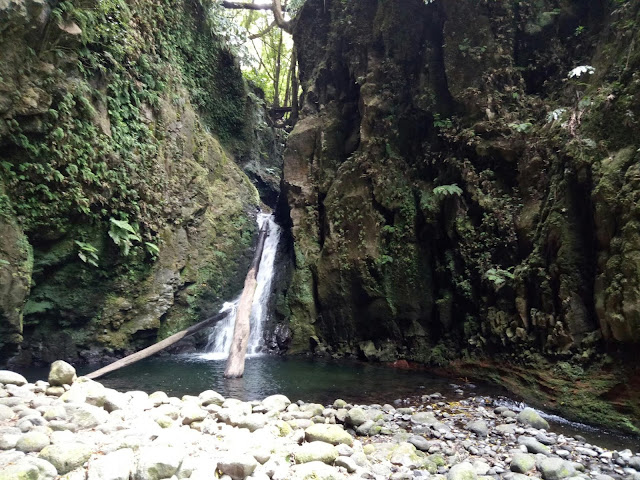 Salto do Cagarrão Waterfall - Azores