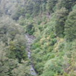 View album