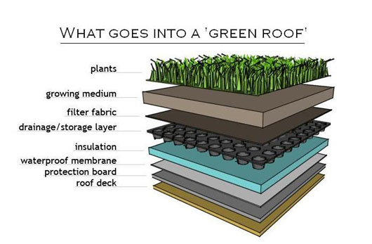 Grow City: Edible Rooftop Review - Part I