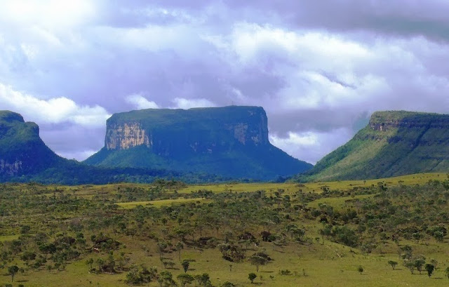 Mountains table or Altiboy "Tepui" in Venezuela Pictures