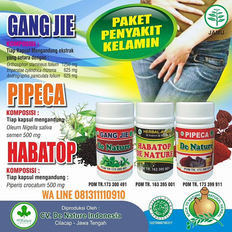 CARA TRADISIONAL MENGOBATI PENYAKIT SIPILIS  OBAT SIPILIS 