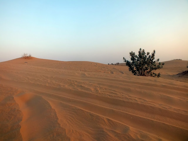 dunas y arena en el desierto de Dubai