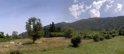 Mount Fyffe, Kaikoura