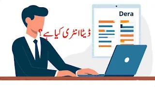 ڈیٹا انٹری کیا ہے؟
