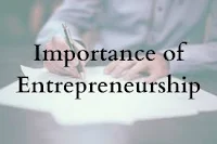 Importance of entrepreneurship to individual