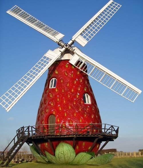 a sweet and funny stawberry house