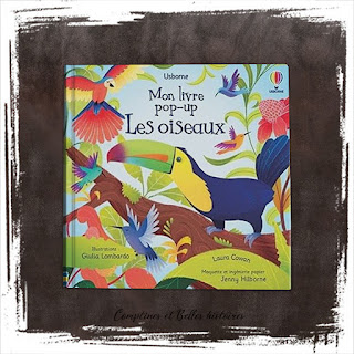 Mon livre pop-up Les oiseaux, un livre pour enfant et bébé, éditions Usborne