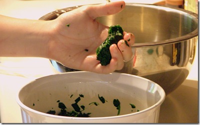 spinach 4