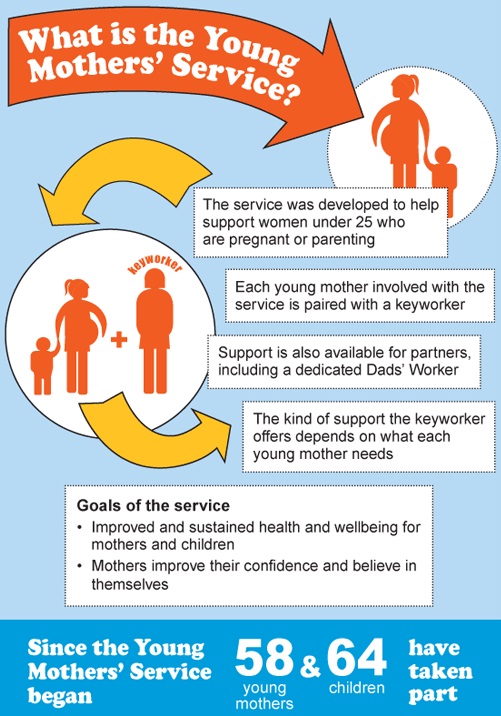 Evaluating the Young Mothers’ Service using contribution analysis: lessons learned