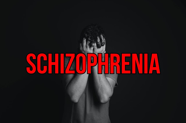 When Does Schizophrenia Develop