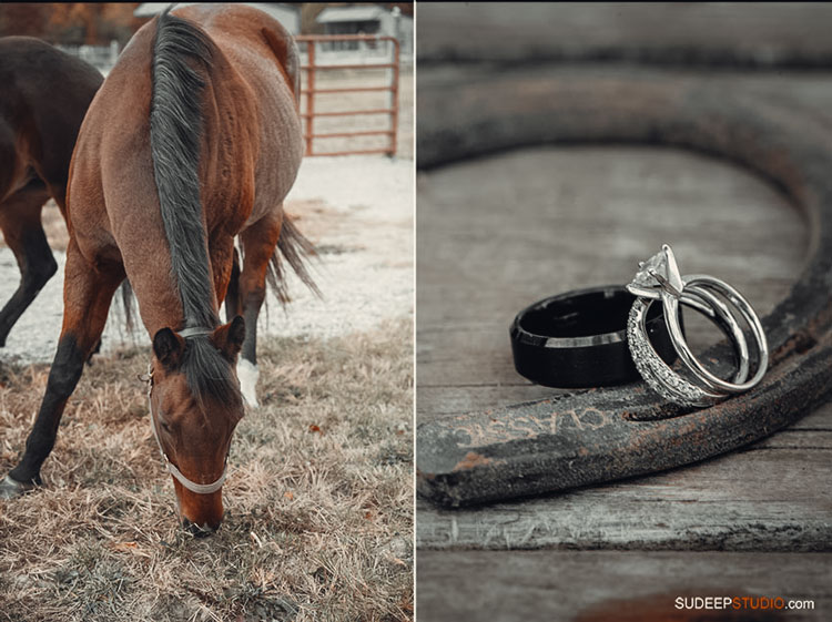 Vintage Barn Wedding Photography in Farm with horses by SudeepStudio.com Dexter Ann Arbor Wedding Photographer