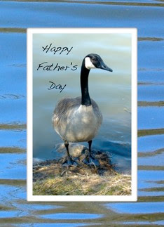 fathers day canada