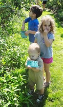 2012-07-07 July 7, 2012 010