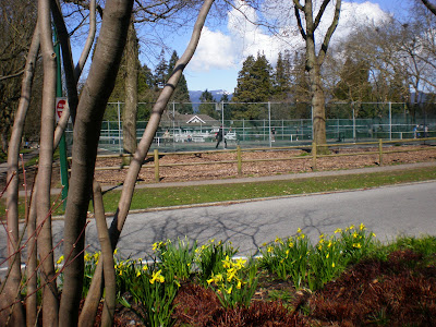 morning walk to stanley park