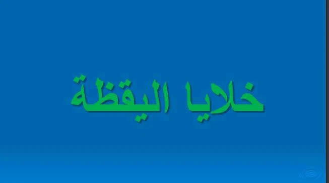 معلومات حول لجنة اليقظة التربوية