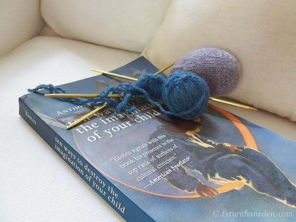 A Daybook for the End of July...and a Hidden Yarn Along