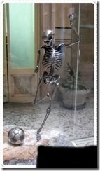 Skeleton scrubture (5)