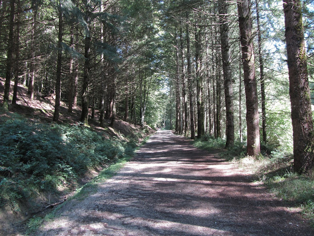 Casas de Irati - SL-NA-62A - Cascada del Cubo - Parque Nacional de Irati - Navarra 